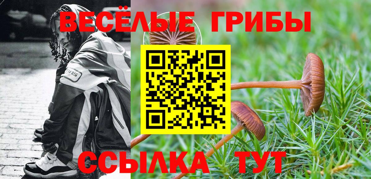 Псилоцибиновые грибы прущие грибы Артёмовский