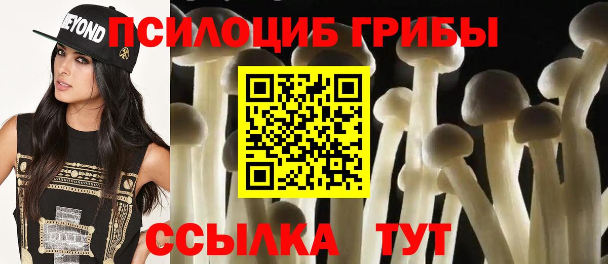 Псилоцибиновые грибы мицелий  Вход с VPN  Артёмовский  Псилоцибиновые грибы ЛСД 